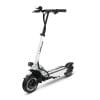 Speedway 5 Dual Motor e-Scooter Best Dual Motor Electric Scooter