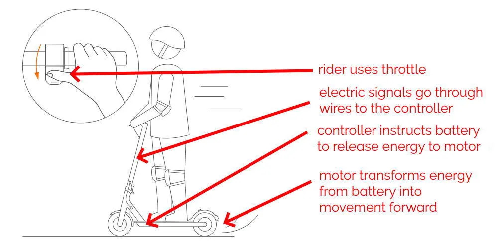 How Do Electric Scooter Works? Owners Should Know