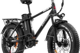 SAMEBIKE 750W Electric Bike with Child Carrier