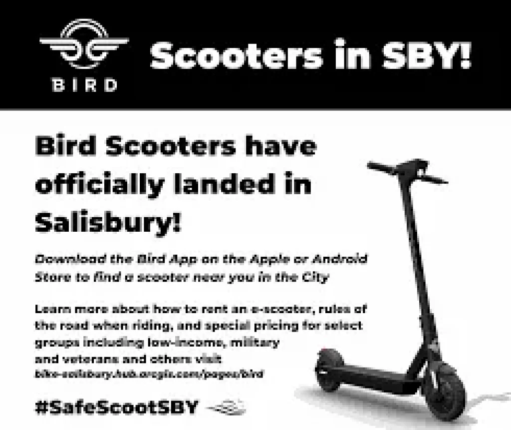 How-to-Rent-a-Bird-Scooter-d
