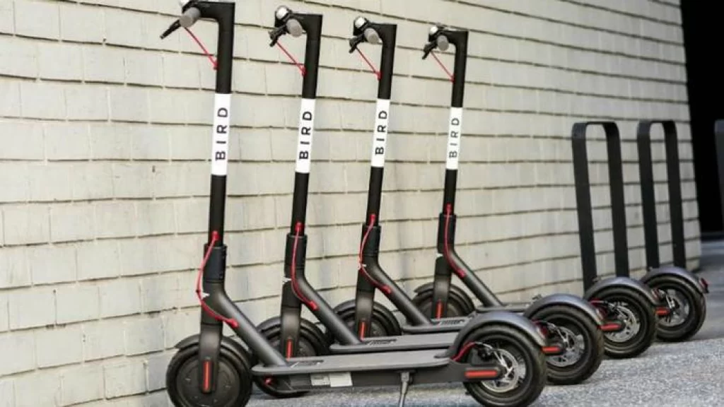 Bird Scooter Rental