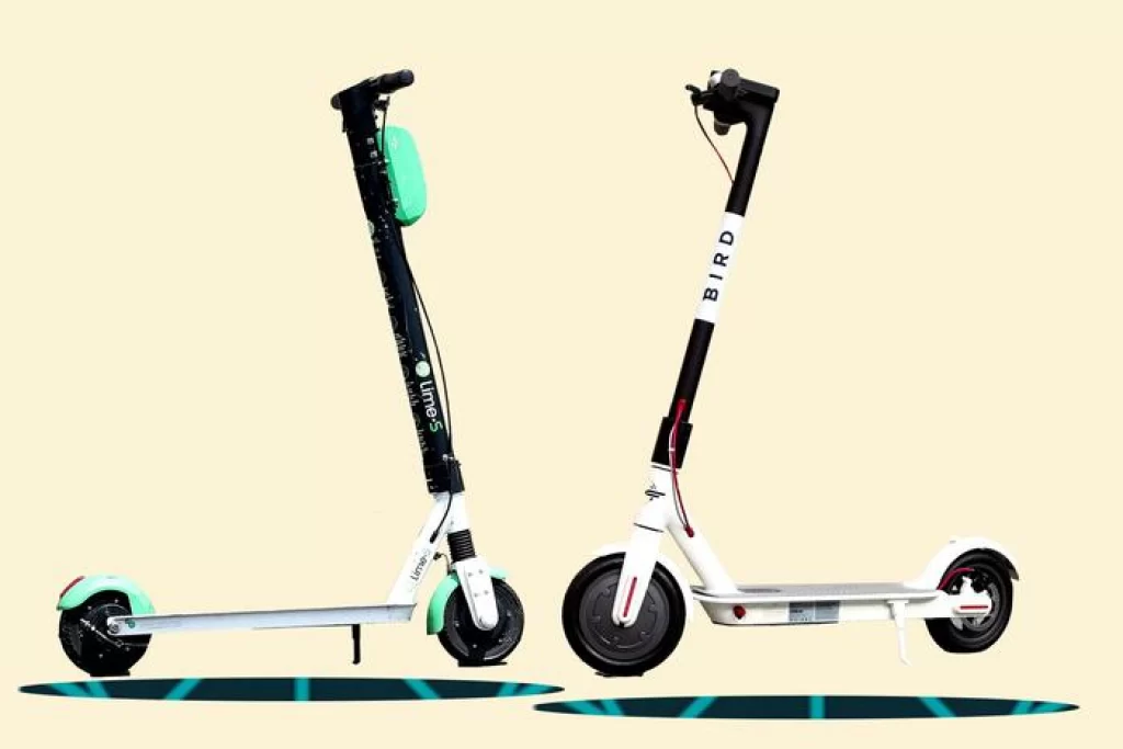 Bird and Lime Rental Electric Scooters for Adults