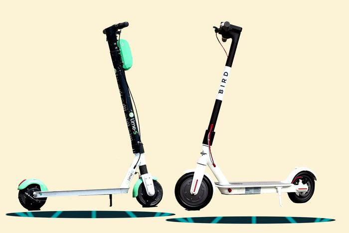 Electric Scooter Rental Lime Bird Review 2023