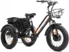 DWMEIGI 3 Wheel Electric Bike