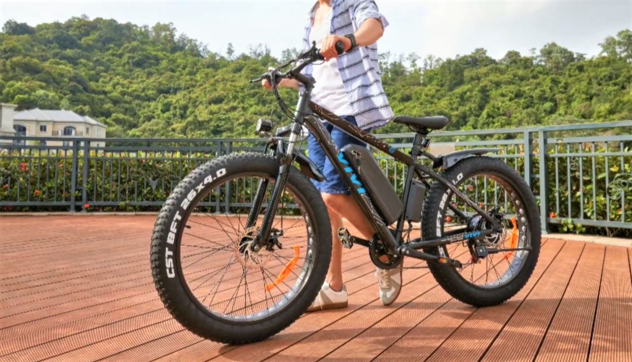 VIVI 48V Fat Tire Electric Bike