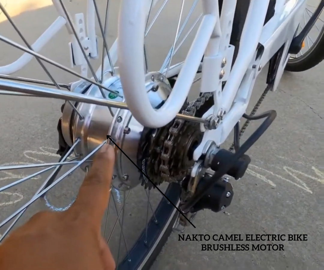 Nakto Camel Electric Bike Brushless Motor