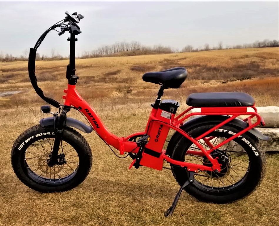 Rattan 750W Best Electric Bike For Short Female