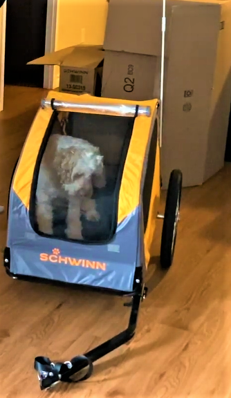 Schwinn Rascal Rear Mounted Adjustable Dog Carrier