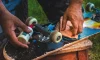 Preparing to Clean Skateboard Bearings