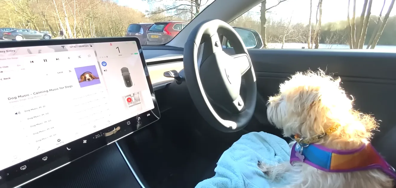 Dog-Mod-in-Tesla