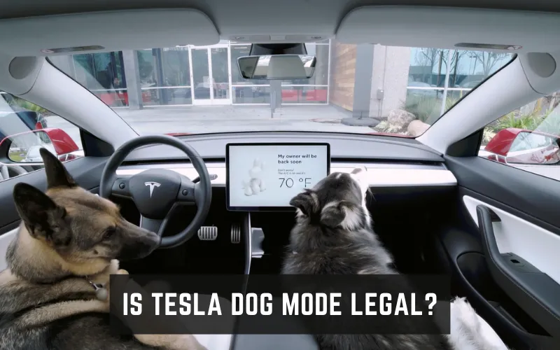 How To Turn On Dog Mode Tesla Model X  & How Does It Work?