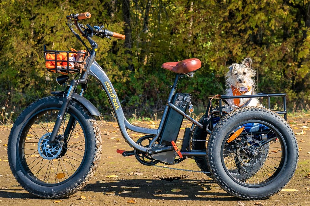 Is An Electric Bike A Good Option For People Over 50?