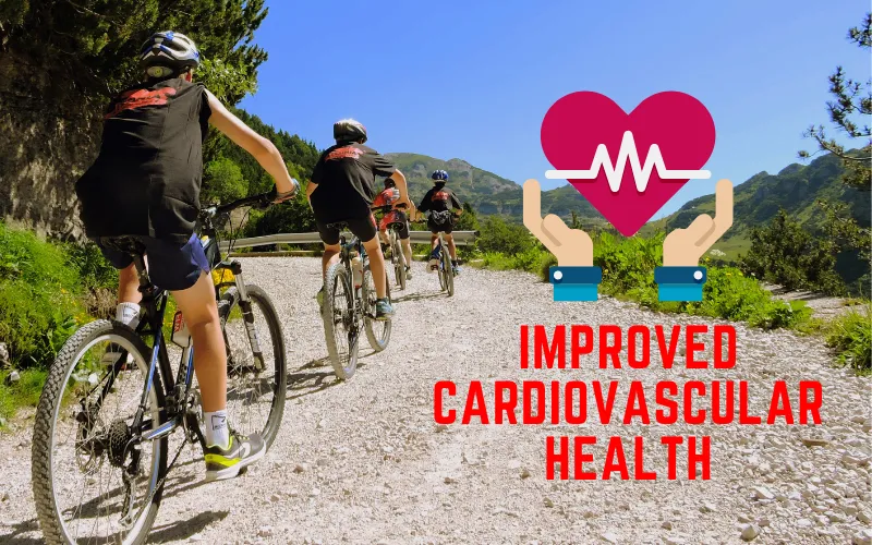 cycling-Improved-Cardiovascular-Health