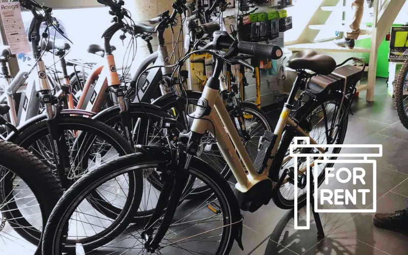 electric bike rental