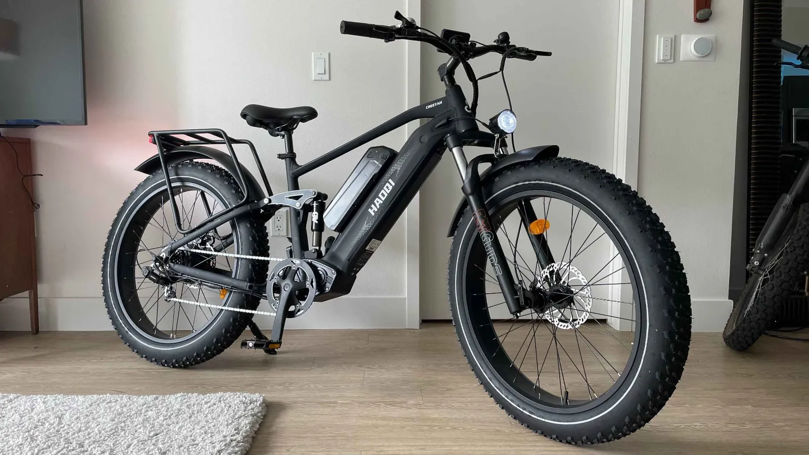 HAOQI Cheetah Electric Bike Review 2024 | Affordable E-bike