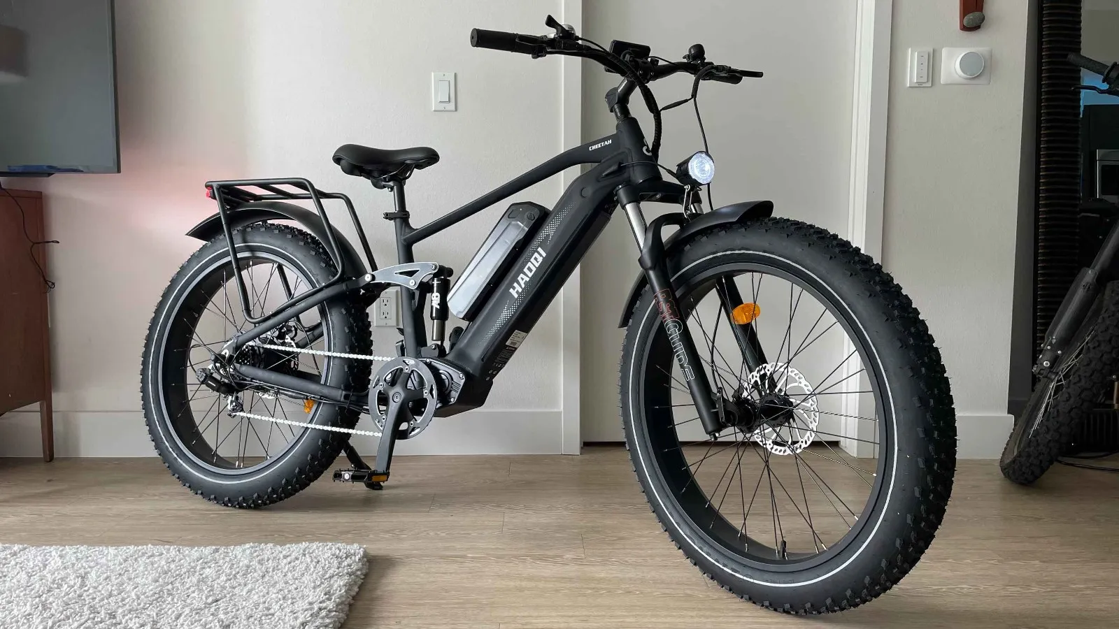 HAOQI Cheetah Electric Bike Review