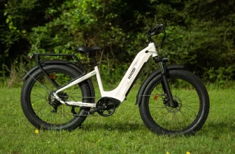 HAOQI Eagle Electric Bike Review
