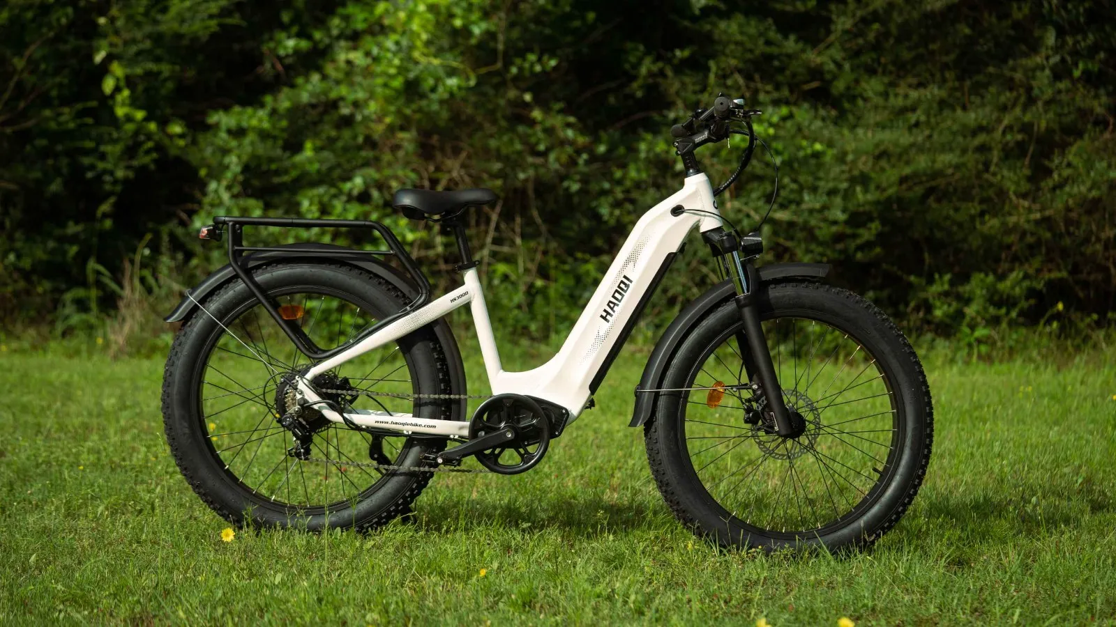 HAOQI Eagle Electric Bike Review