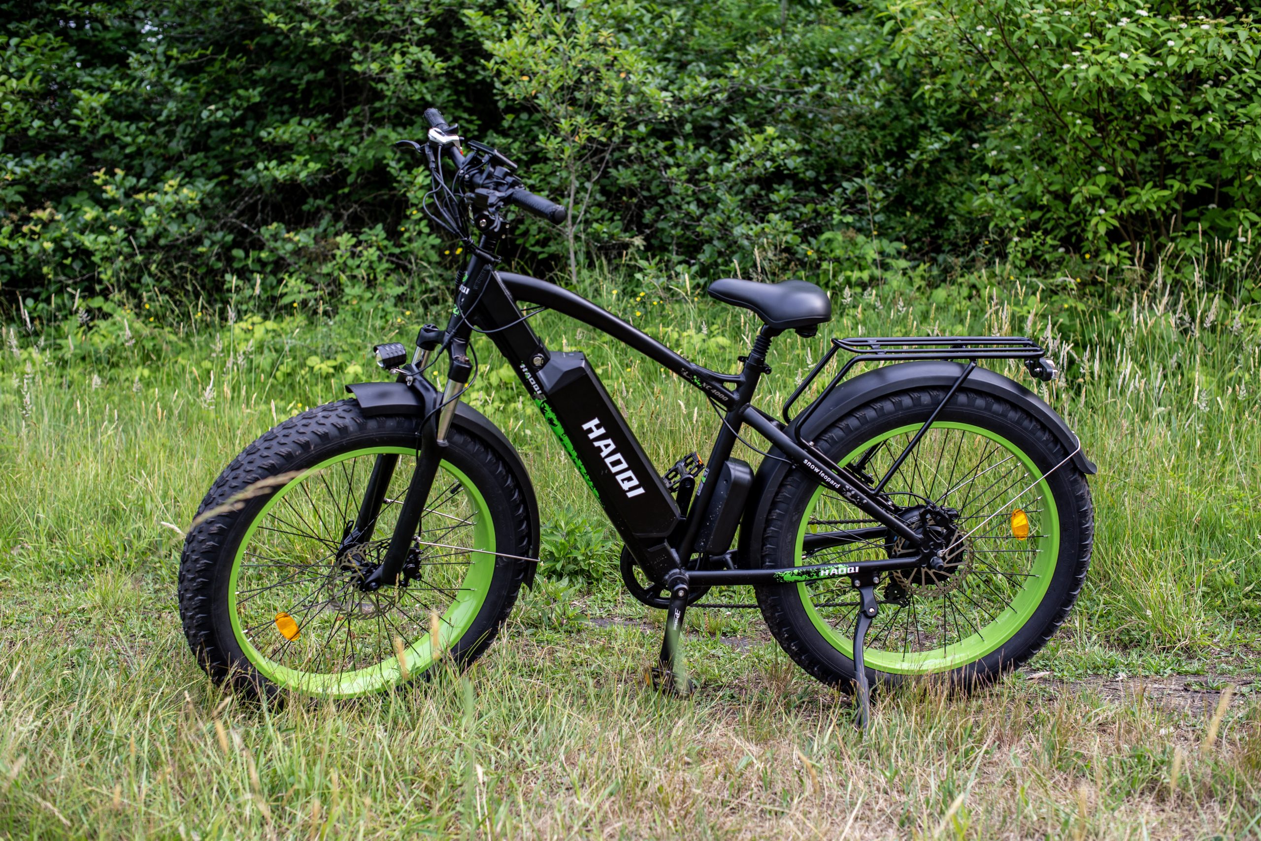 HAOQI Green Leopard Pro Electric Bike Review 2023
