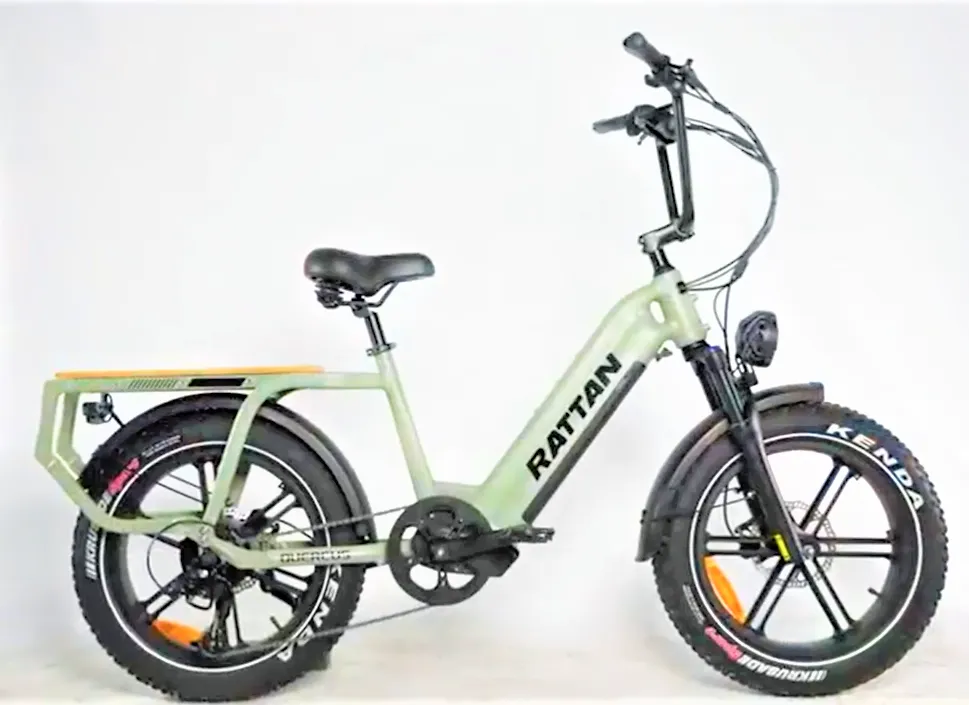 Rattan Quercus Cargo Best Electric bike