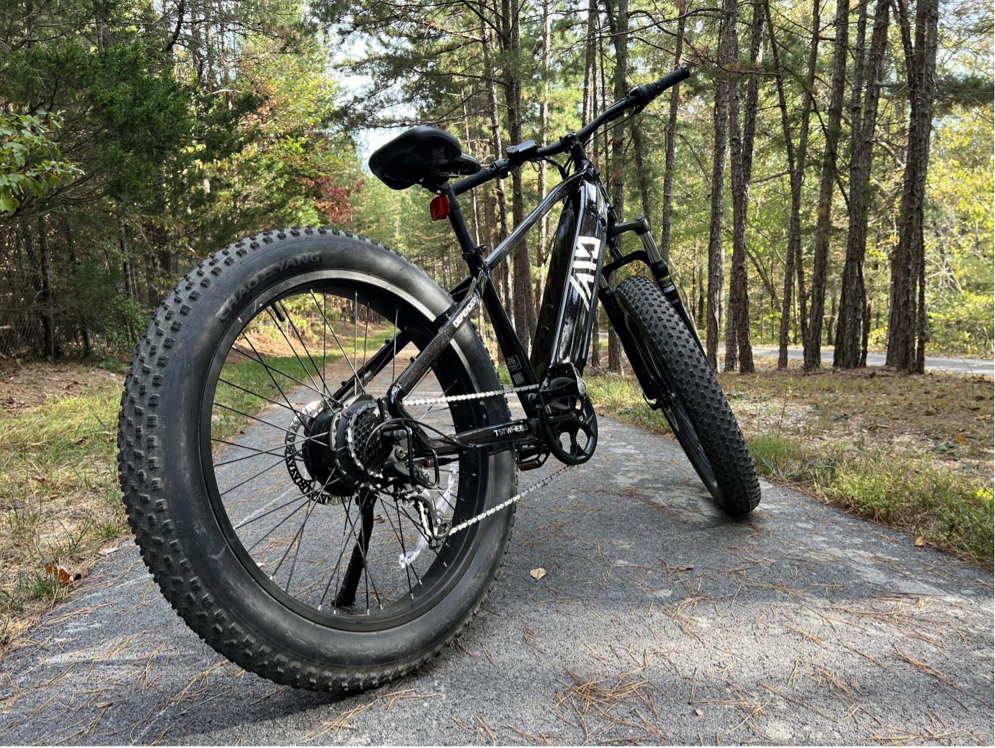 TST Defender Electric Bike Review: Style & Performance Feature