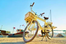 E-Bikes vs Traditional Bikes: Which Is Right for You in 2024?